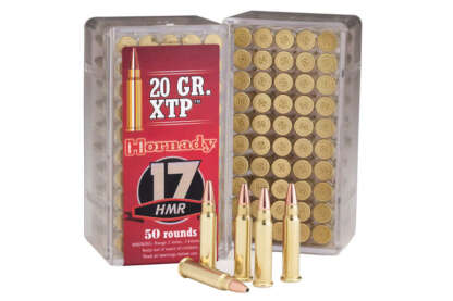 HORNADY 17 HMR 20gr XTP 2375fps 50pk