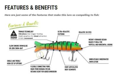 ZOMBIE MAXX 5in RAINBOW TROUT - Image 5