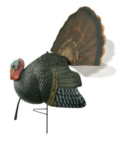 KILLER B STRUTTING GOBBLER