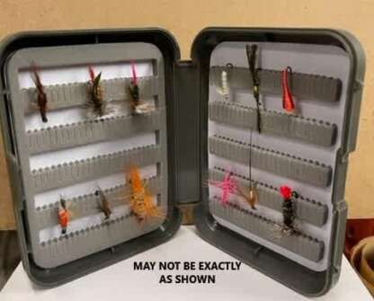 FLY BOX WITH 12 FLIES