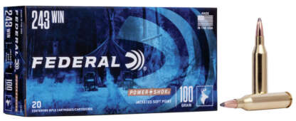 FEDERAL POWER-SHOK 243 WIN 100gr JSP 2960fps 20pk