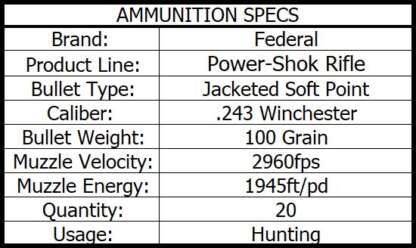 FEDERAL POWER-SHOK 243 WIN 100gr JSP 2960fps 20pk - Image 3