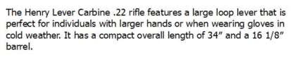 HENRY H001L LARGE LOOP LEVER 22LR 16.125in 12rnd - Image 2