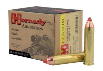 HORNADY CUSTOM 460 S&W 200gr FTX 2200fps 25pk