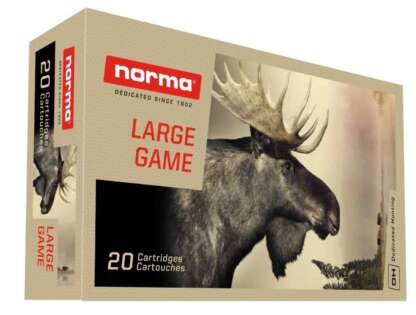 NORMA ORYX 308 NORMA MAG 180gr BSP 20pk 2960fps