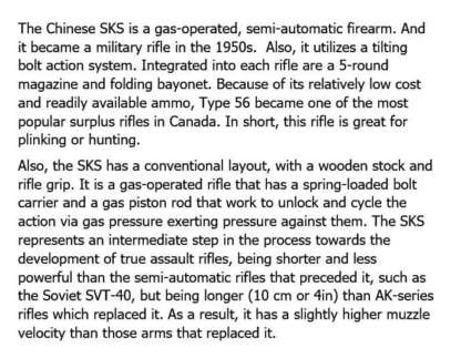 CHINESE SKS RIFLE c.7.62X39 HONOR GUARD CHROME 20in 5rnd - Image 2