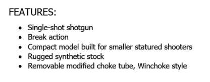 SAVAGE/STEVENS M301 410ga SINGLE SHOT 22in COMPACT - Image 3