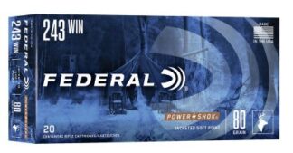 FEDERAL POWER-SHOK 243 WIN 80gr JSP 3330fps 20pk