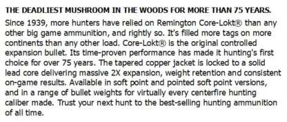 REMINGTON CORE-LOKT 30-30 WIN 170gr SP CL 20pk 2200fps - Image 2