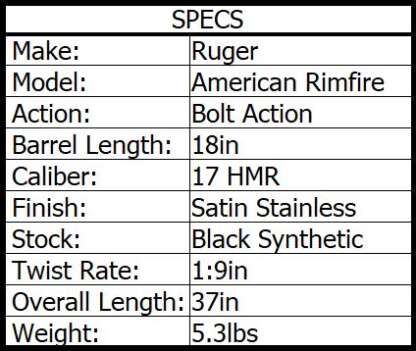 RUGER AMERICAN RIMFIRE 17HMR STAINLESS 18in 9rnd - Image 2