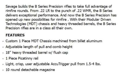 SAVAGE B17 PRECISION 17HMR 18in 10rnd - Image 3