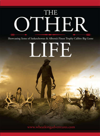 THE OTHER LIFE DVD