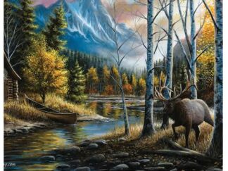 LIVING THE DREAM 24in x 16in LED PICTURE