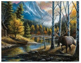 LIVING THE DREAM 24in x 16in LED PICTURE