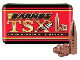 BARNES TSX FB .458in 450gr 20pk