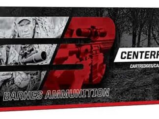 BARNES 243 WIN 100gr JHP BT 2960fps 20pk