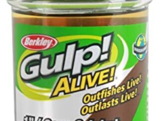 GULP! ALIVE 1in CRICKETS - BROWN