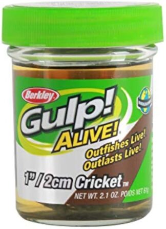 GULP! ALIVE 1in CRICKETS - BROWN