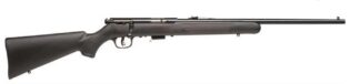 SAVAGE MARK II F 22LR SYNTHETIC BLUED 21in 10rnd