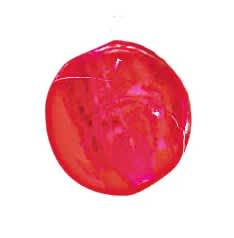 PUCCI 6mm  RED BEADS 60pk